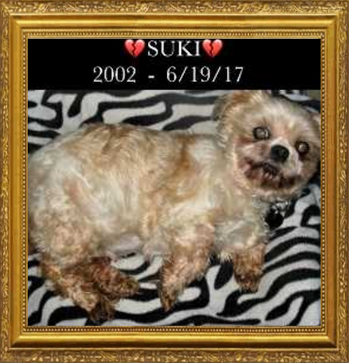 Suski Rogoff 2002-2017